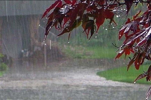 بارش بهاری زنجان را فرا می گیرد بارش بهاری زنجان را فرا می گیرد