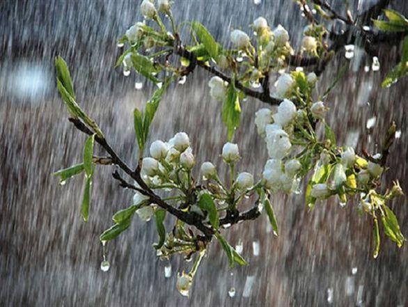 رئیس مرکز خشکسالی در گفت وگو با خبرنگاران: رشد 156 درصدی بارش نسبت به دوره بلندمدت، بارش های نرمال در ماه های آتی استمرار خواهد داشت رئیس مرکز خشکسالی در گفت وگو با خبرنگاران: رشد 156 درصدی بارش نسبت به دوره بلندمدت، بارش های نرمال در ماه های آینده استمرار خواهد داشت