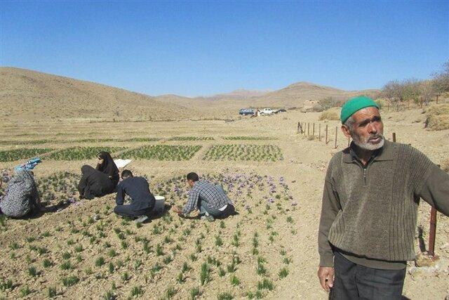 اجرای طرح روستای بدون بیکار در بیش از 100 روستای کشور اجرای طرح روستای بدون بیکار در بیش از 100 روستای کشور