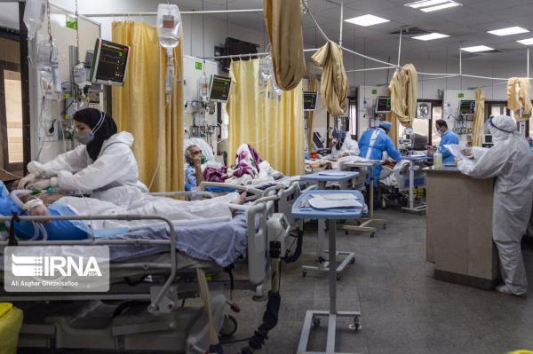 خبرنگاران سبزوار در بستری بیماران کرونایی رکورد زد